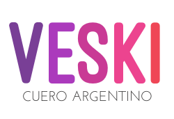 VESKI Logo